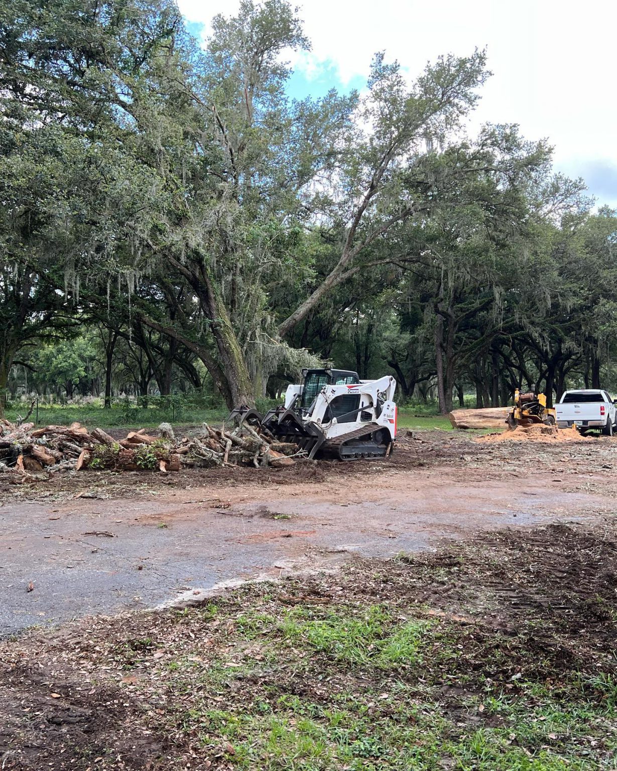Elite Land Maintenance Professional Land Clearing Dade City FL