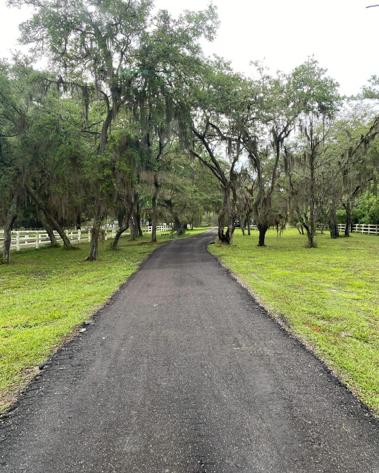 Elite Land Maintenance Professional Land Clearing Dade City FL