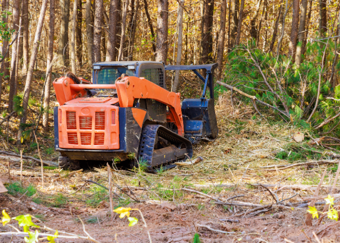 Elite Land Maintenance Professional Land Clearing Dade City FL